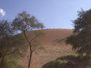 sossusvlei duinen